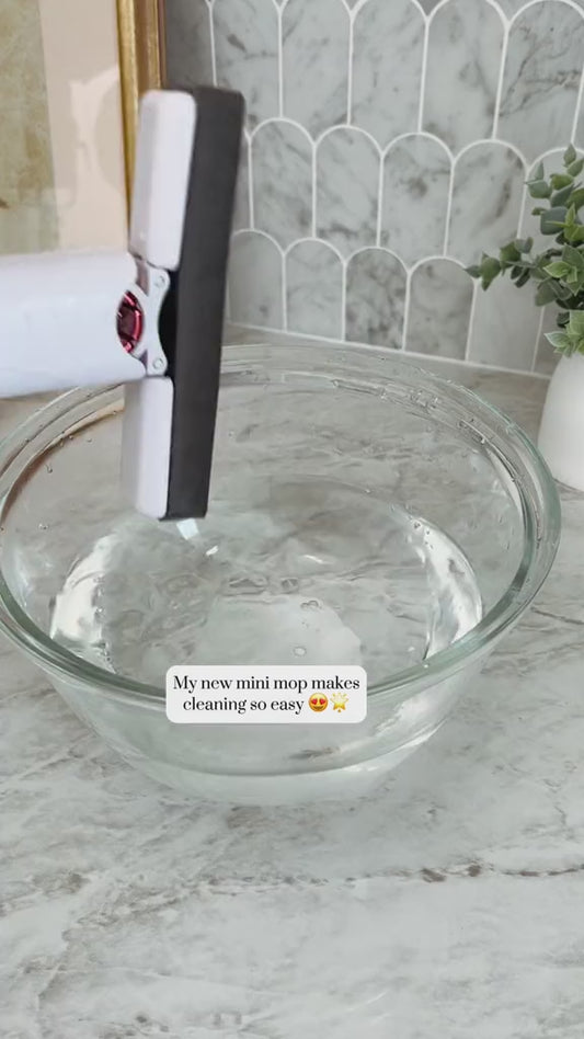 Mini Mop
